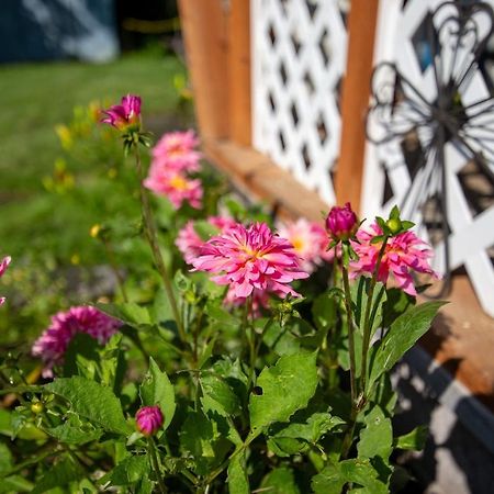 The Mint Cottage With Garden แองเคอเรจ ภายนอก รูปภาพ