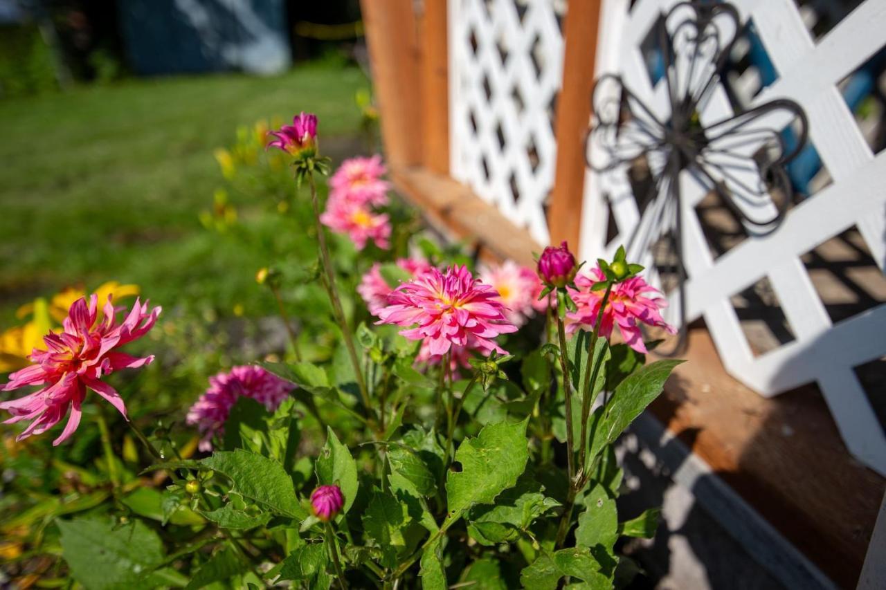 The Mint Cottage With Garden แองเคอเรจ ภายนอก รูปภาพ